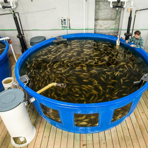 Применение